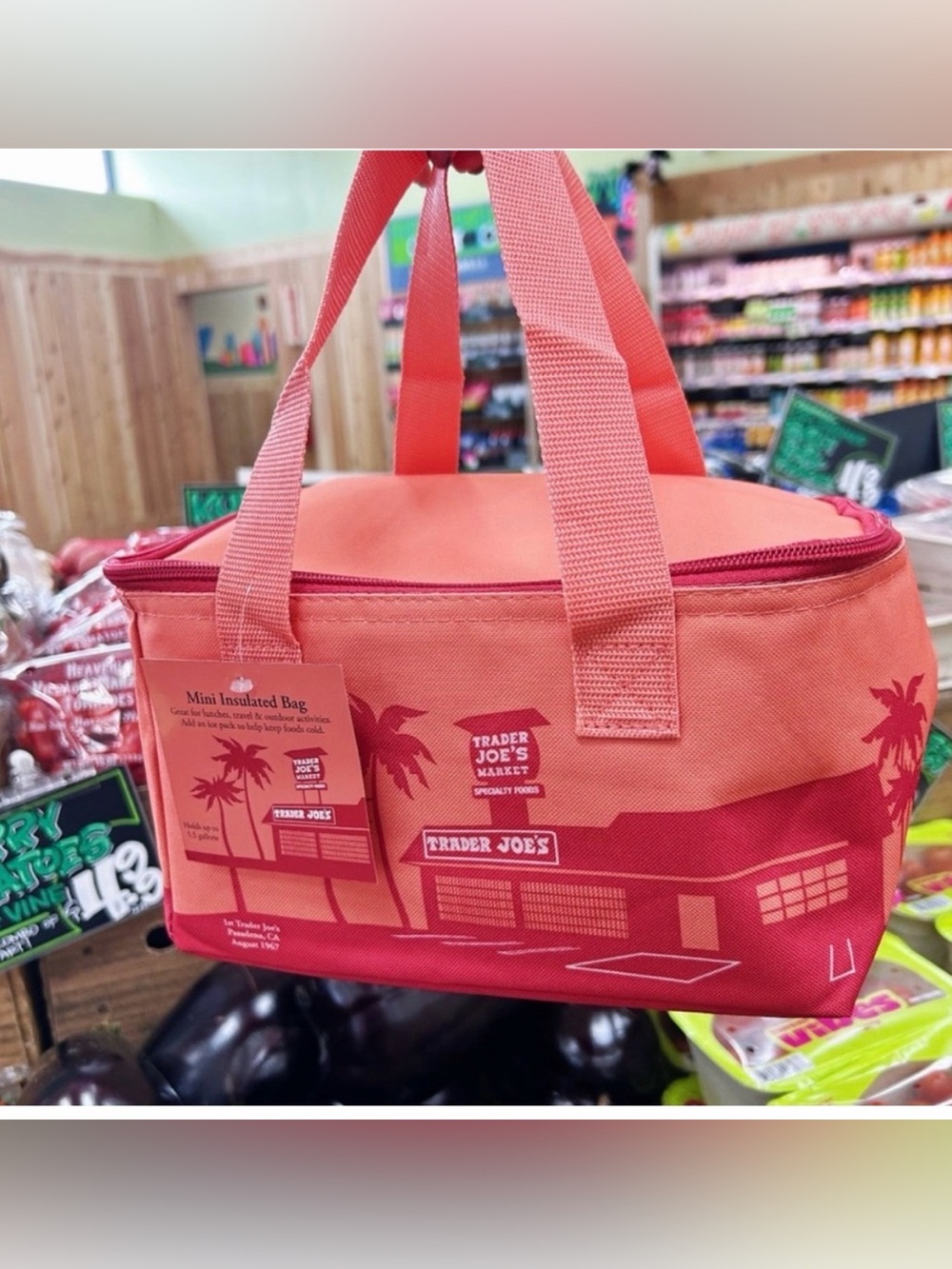 Trader Joe’s Coral to Pink Gradient Mini Insulated Lunch Bag
